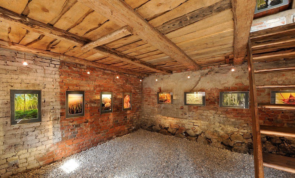 Część galerii zdjęć przyrodniczych / parter, © RVF Roman-Vitt-Fotografie