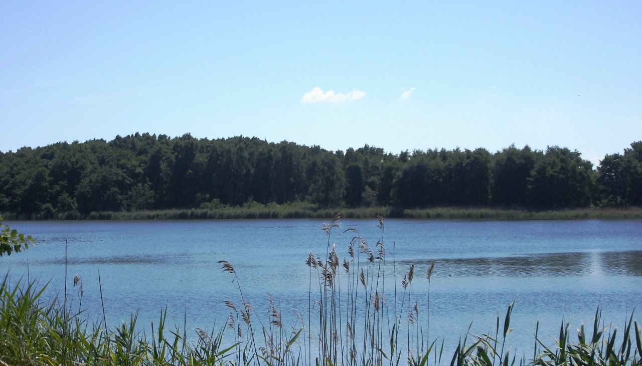 Wycieczka rowerowa z przewodnikiem - "Wok&oacute;ł Schmollensee - wycieczka z widokiem na siedem jezior", &copy; 201547.jpg