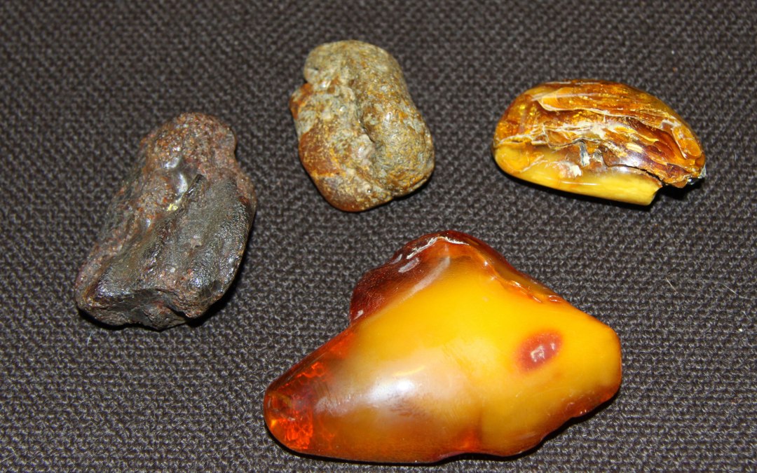 Lezing Amber - het goud van de Oostzee, © Historische Gesellschaft zu Zinnowitz e. V., Ute Spohler, 17454 Zinnowitz, Sc
