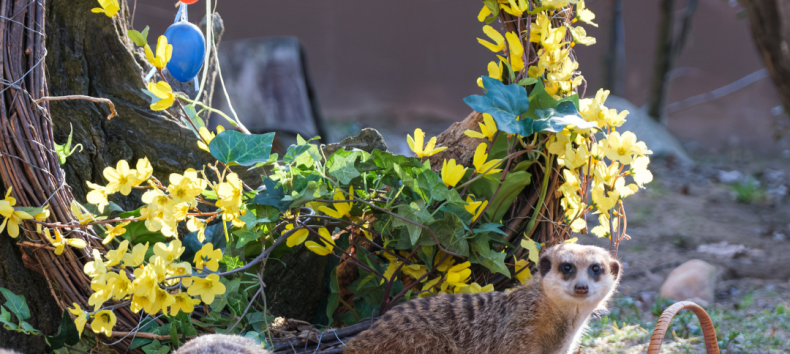 © Zoo Schwerin © Zoo Schwerin