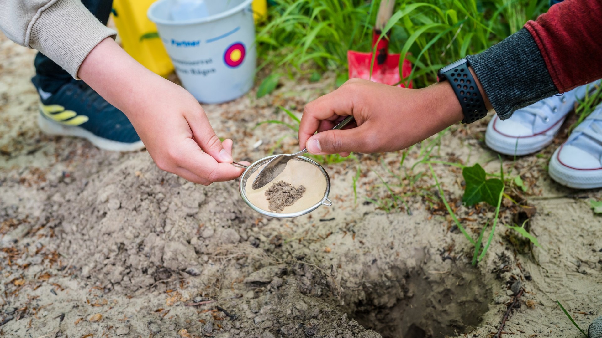 Alexandra Hanusch laat de kinderen ook een bodemmonster nemen hier in het kustbos van Rügen.
, © TMV/Tiemann Voor het experiment worden bosmonsters genomen met een zeef.