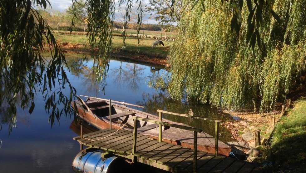 Our "lake // © Hof Prangendorf/Vergin Our "lake // © Hof Prangendorf/Vergin