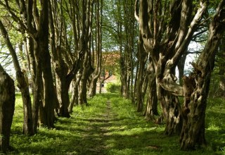 Hessenburg Forest Park // &copy; Hessenburg