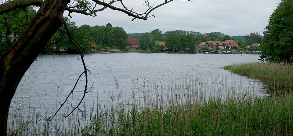 Aan de Feldberger Haussee, © F. Krull Aan de Feldberger Haussee, © F. Krull