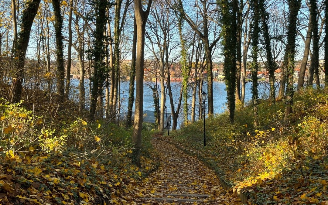 Ways from top to bottom, © Tourist-Information Malchow