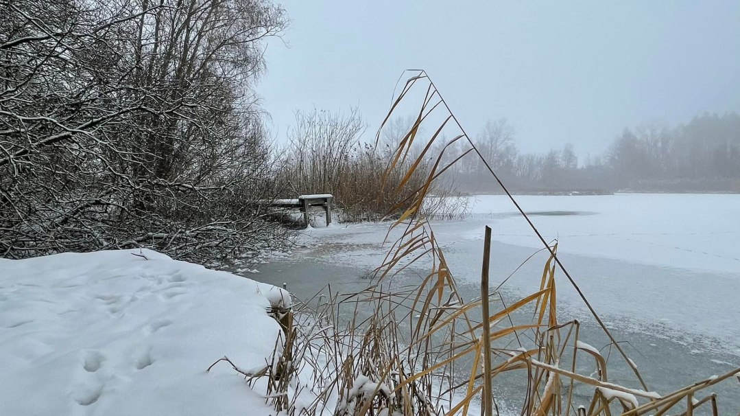 Saaler Tonkuhlen 4, © TZ Südliche Boddenküste