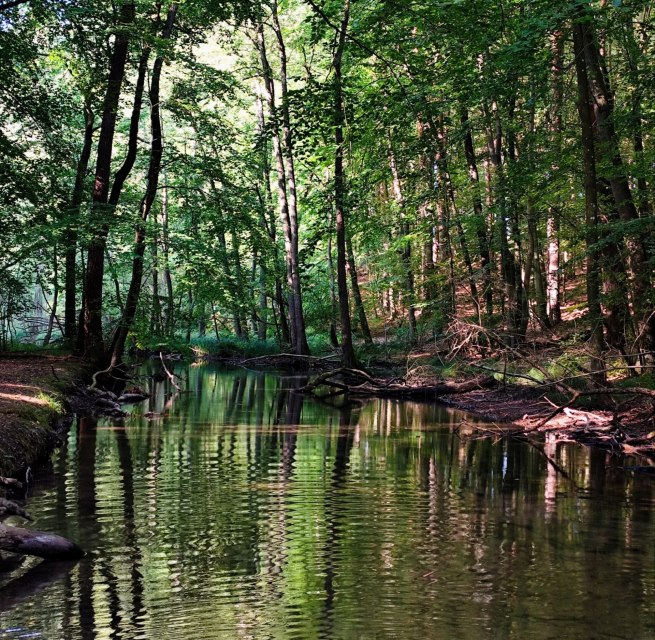 © Britta Daedelow-Seydl © Britta Daedelow-Seydl