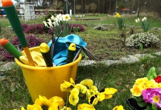 &copy; fruehjahrsputz.jpg