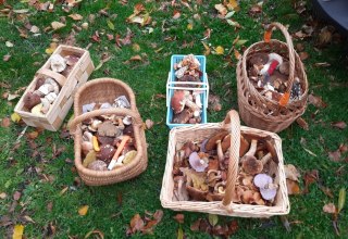 © Gemeinde Ostseebad Glowe © Gemeinde Ostseebad Glowe