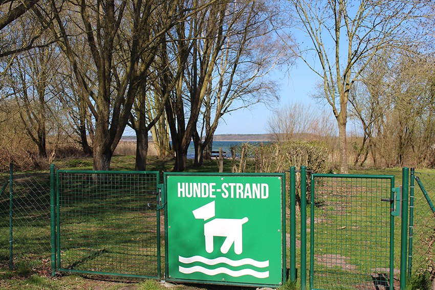 Omheind hondengebied, © Kur- und Tourismus GmbH Göhren-Lebbin