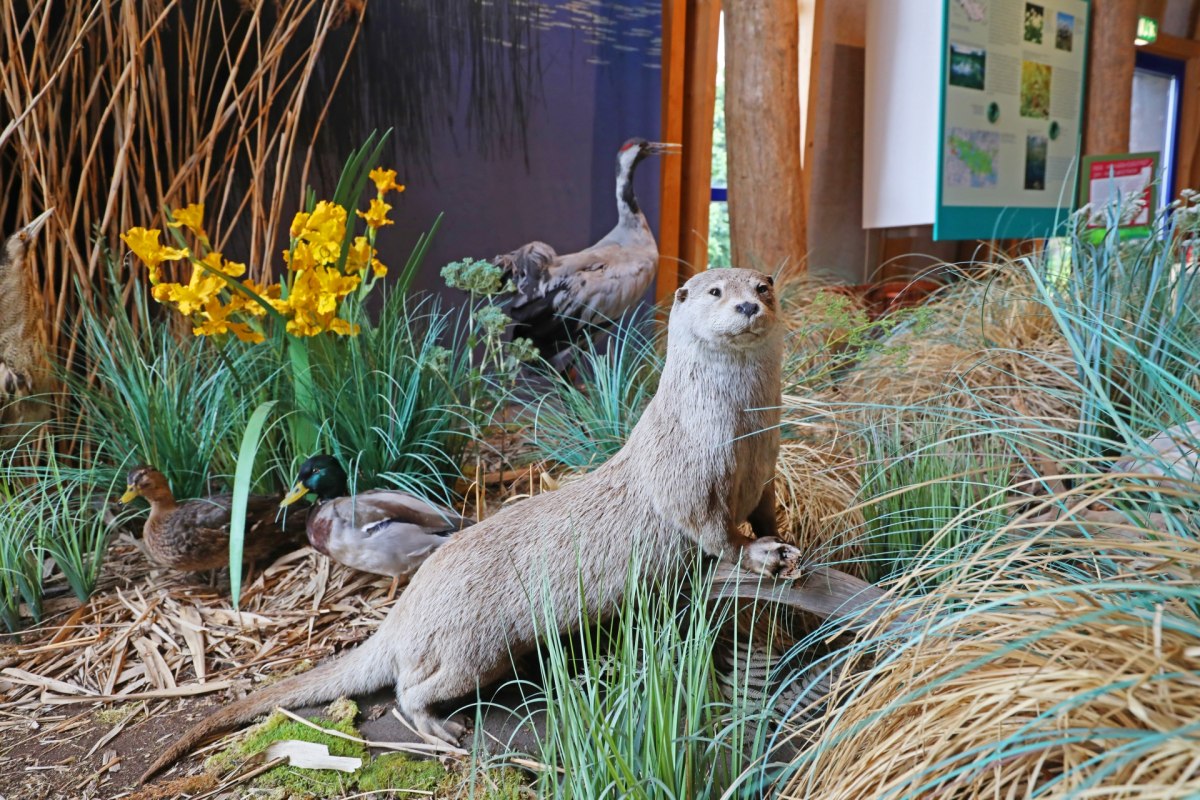 Karower Meiler Informatiecentrum - Tentoonstelling, © TMV/Gohlke Karower Meiler Informatiecentrum - Tentoonstelling, © TMV/Gohlke