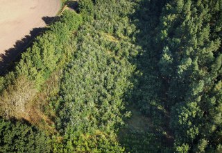 Climate forest Bad Kleinen // © Landesforst MV Climate forest Bad Kleinen // © Landesforst MV