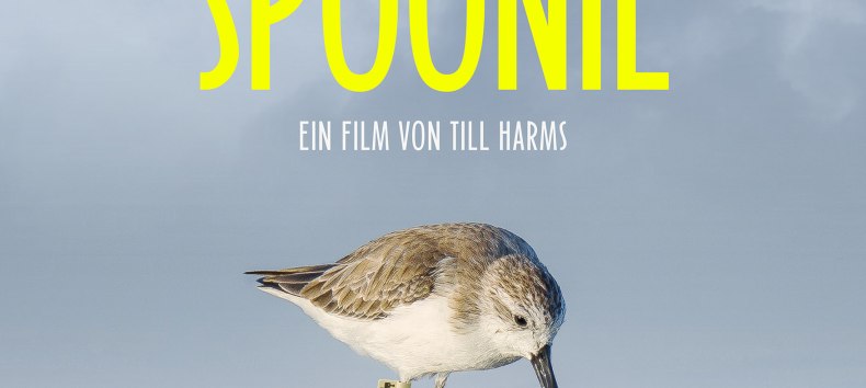 &copy; realfictionfilme.de