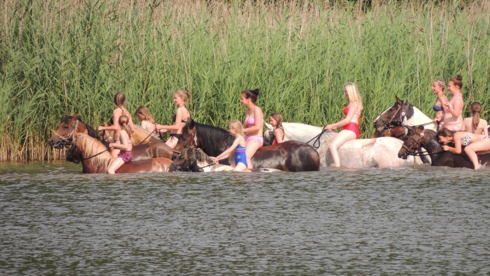 Riding horses into the water in the Goldberg-Mildenitz region, &copy; Tourismusverein Waelder, Seen und Mehr e.V.
