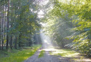 © Stadt Ribnitz-Damgarten © Stadt Ribnitz-Damgarten