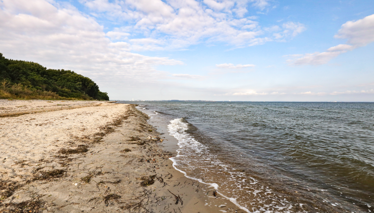 Surfspot Groß Schwansee_2, © TMV/Gohlke Surfspot Groß Schwansee_2, © TMV/Gohlke