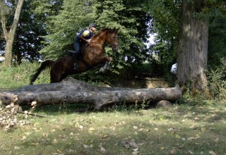 &copy; Sabine Bender