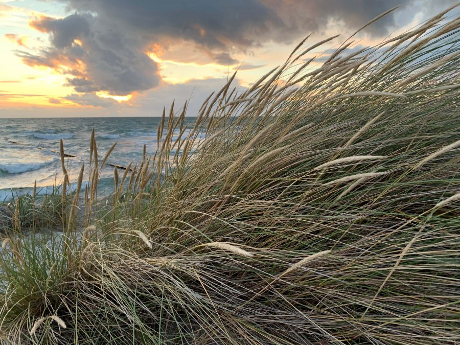 K B&auml;rwald Tussen_Baltische Zee&Bodden, &copy; Nationalparkamt Vorpommern/ K.B&auml;rwald