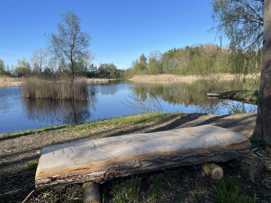 Saaler Tonkuhlen 3, © TZ Südliche Boddenküste Saaler Tonkuhlen 3, © TZ Südliche Boddenküste
