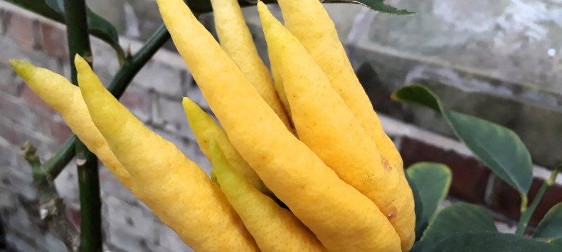 © Angela Pfennig © Angela Pfennig