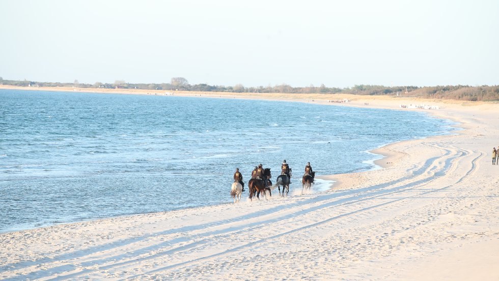 Rider's hearts beat faster at this sight. Dreams come true when riding on the beach in Mecklenburg-Vorpommern. // &copy; MV-T/Pantel