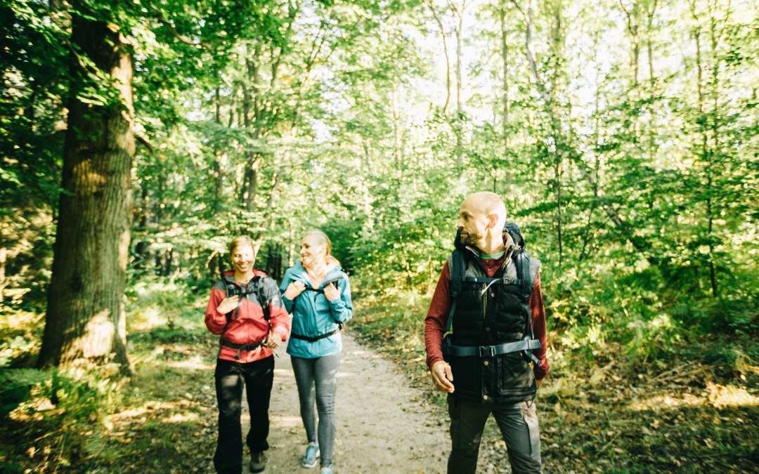 Wandeling door de Rostocker Heide, © TZRW_T.Roth