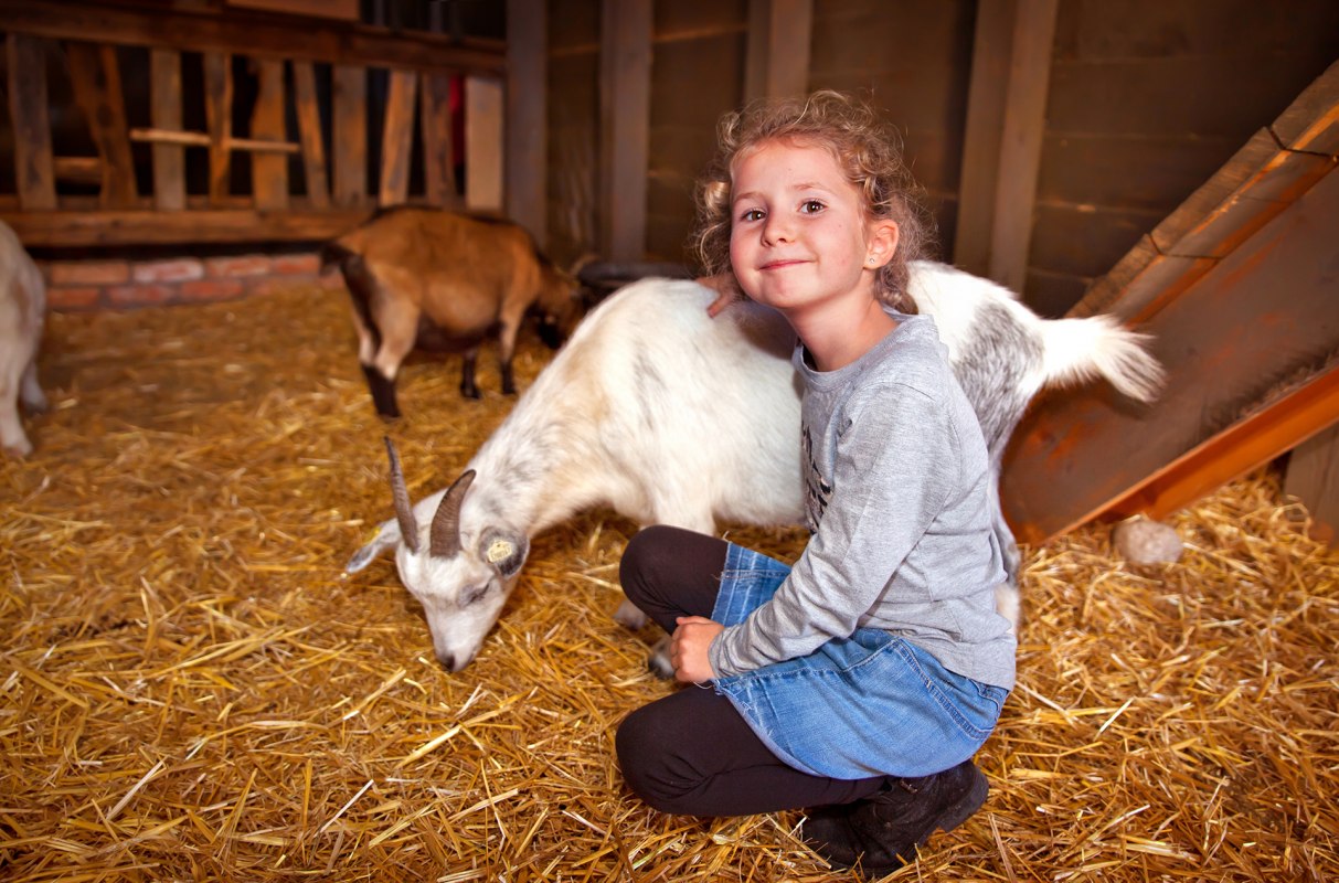 Kinderboerderij // © Karls Erlebnis-Dorf Kinderboerderij // © Karls Erlebnis-Dorf