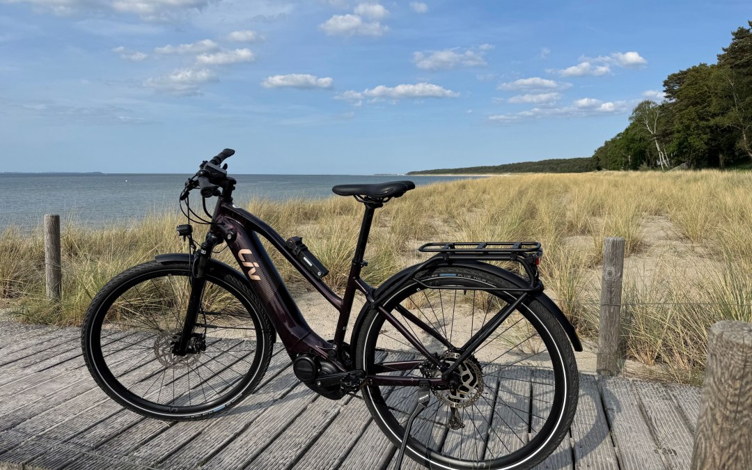 WL-BikeRental, © Matthias Lenz