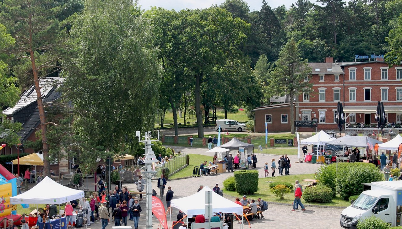 01_MBerndt_Mittsommer_2024_1800, &copy; Nationalpark Vorpommern