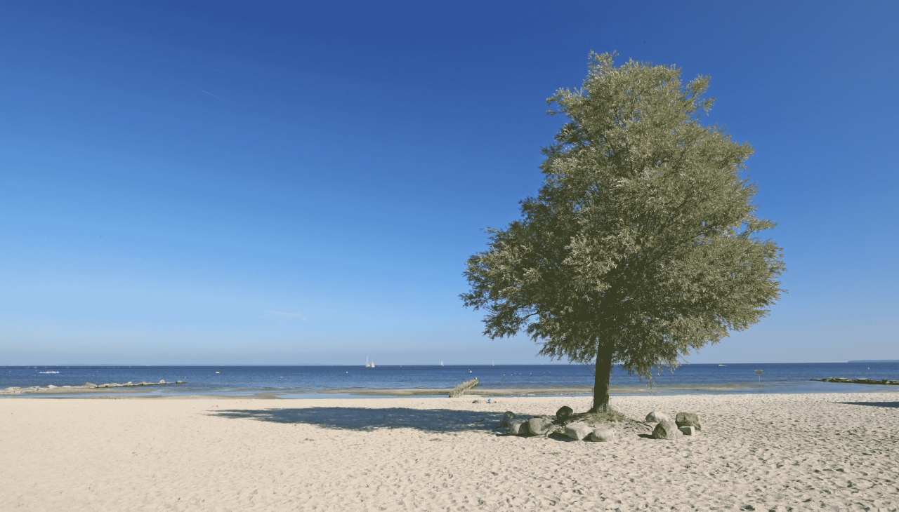 Plaża, © TMV/Gohlke