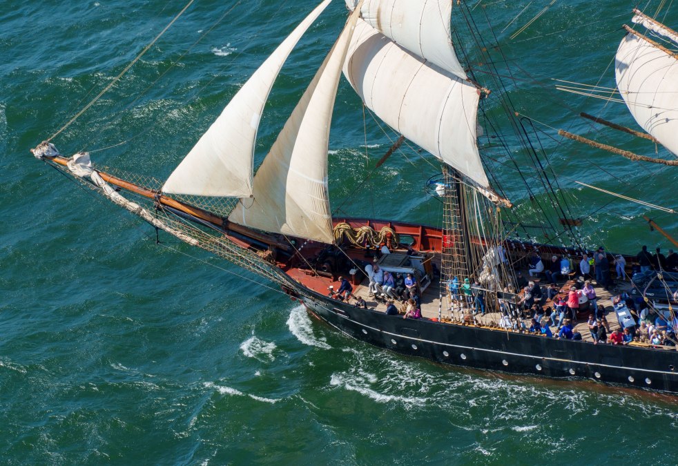 Mitsegeln zur Hanse Sail 2024, Roald Amundsen (c) TZRW, Holger Martens (30), © TZRW, Holger Martens Mitsegeln zur Hanse Sail 2024, Roald Amundsen (c) TZRW, Holger Martens (30), © TZRW, Holger Martens