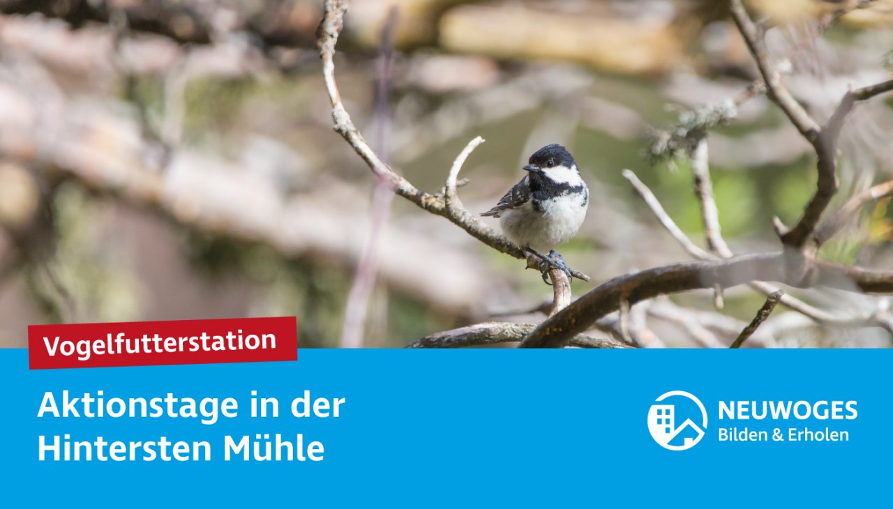 neuw-group_external-coming_animal_home_action_days-24-bird_feeding_station, © Neuwoges