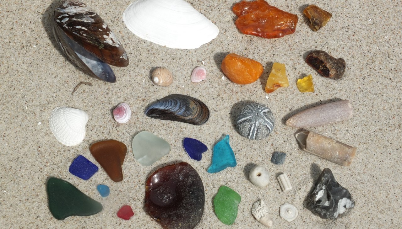 Strandvondsten van het Oostzeestrand, © Martin Hagemann Strandvondsten van het Oostzeestrand, © Martin Hagemann