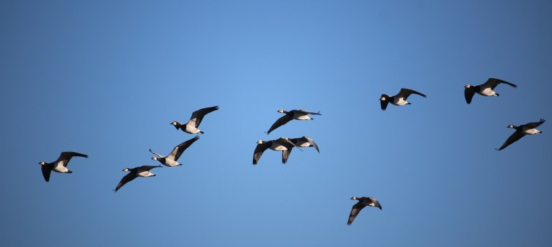 &copy; Benjamin Weigelt