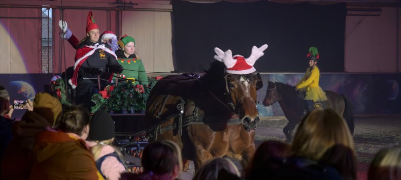 Weihnachtsmärchen Bernsteinreiter // &copy; DE