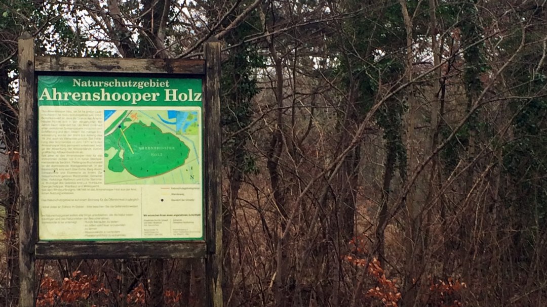 Ahrenshoop wood, © Kurverwaltung Ahrenshoop Ahrenshoop wood, © Kurverwaltung Ahrenshoop