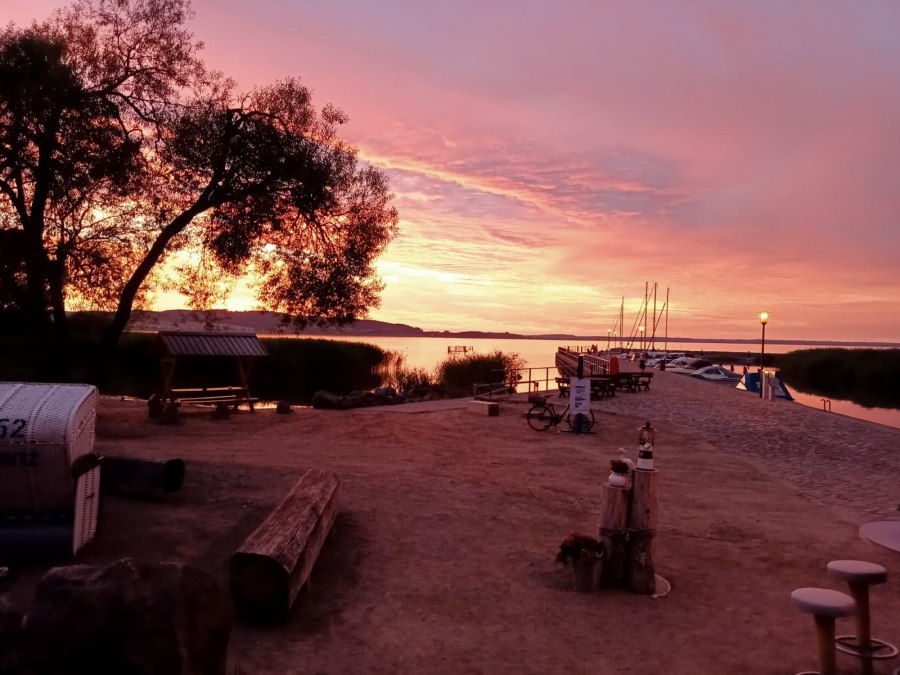 IMG-20250429-WA0004, © Hafenkieker Kummerow IMG-20250429-WA0004, © Hafenkieker Kummerow