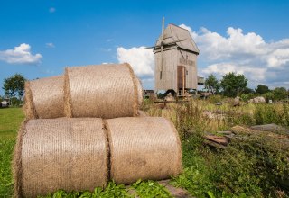 Windm&uuml;hle mit Strohrollen im Vordergrund. // &copy; Frank Burger