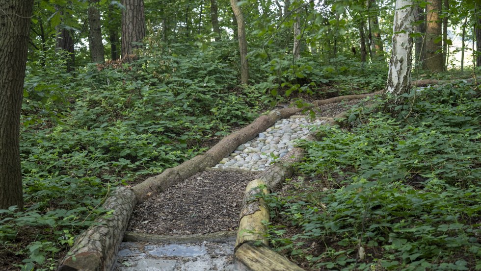 Barfußpad2 ©Till Werner, © Till Werner Barfußpad2 ©Till Werner, © Till Werner