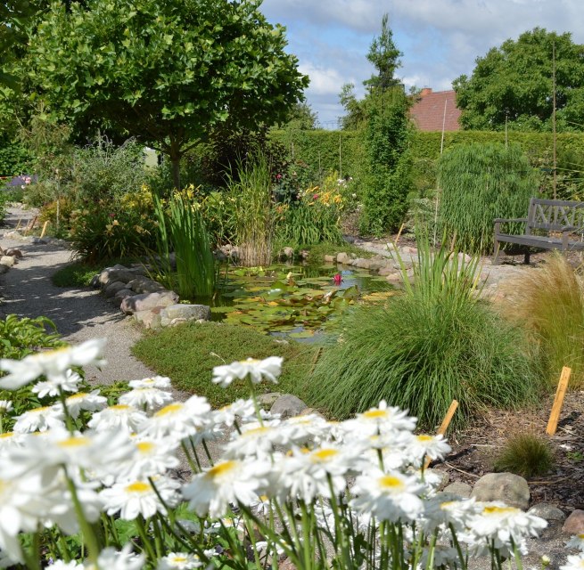 Ruhige Sitzgelegenheit am Gartenteich // &copy; Kevin Hager (Baumschule Hager)