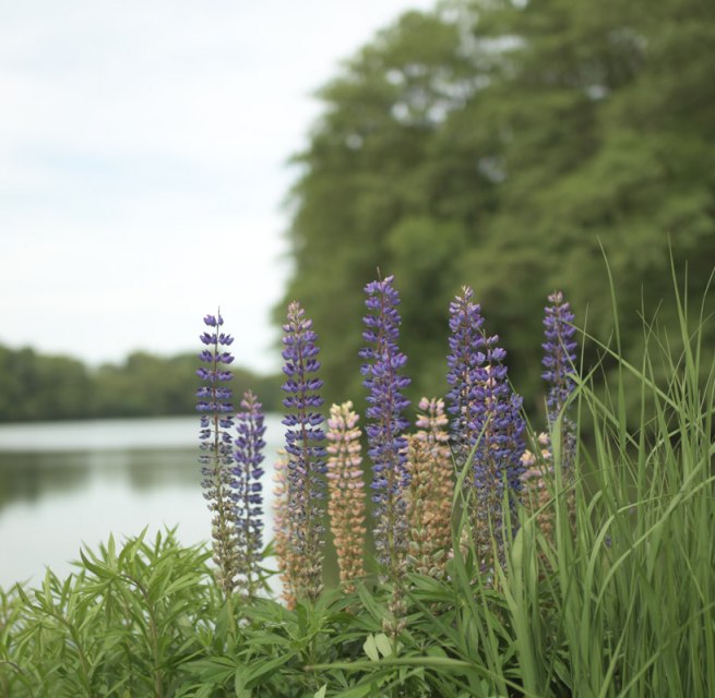 &copy; P. Sensenhauser