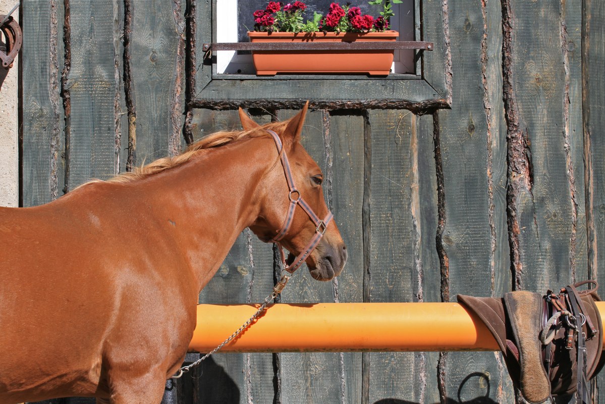 Ranczo Framika, &copy; Dirk Sandner