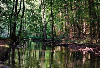 © Britta Daedelow-Seydl © Britta Daedelow-Seydl