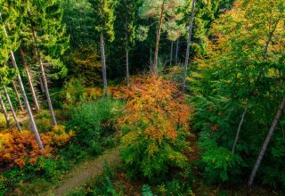 © Binzer Bucht Tourismus © Binzer Bucht Tourismus