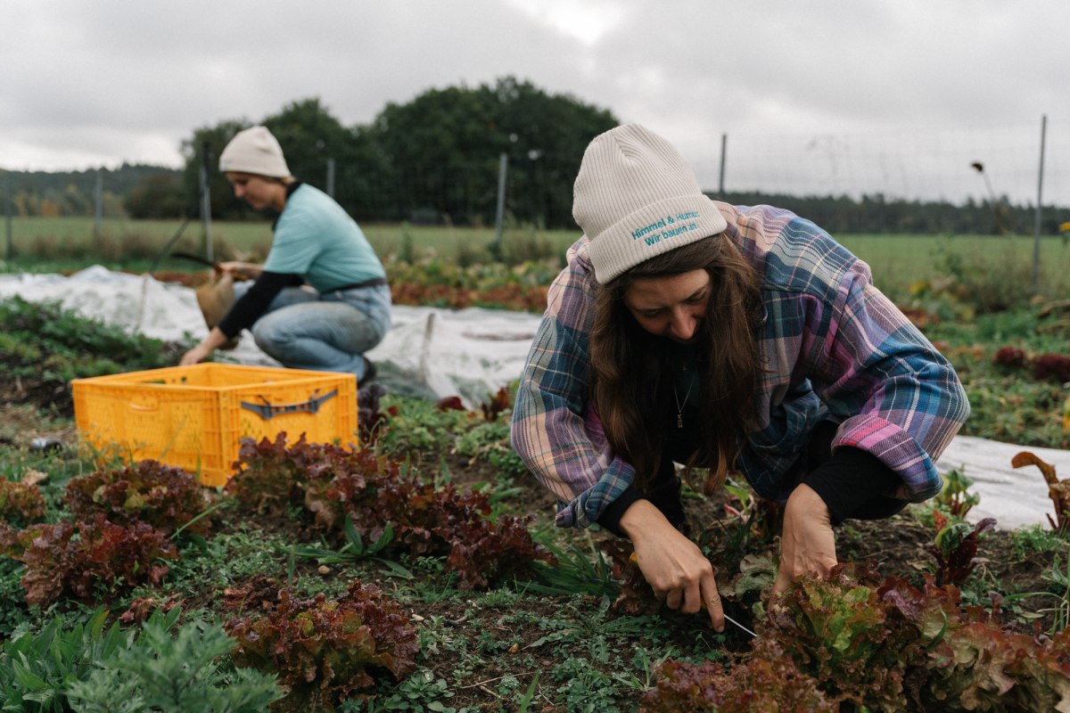 Amelie and Sophie harvesting the vegetable box // &copy; Michael Taterka