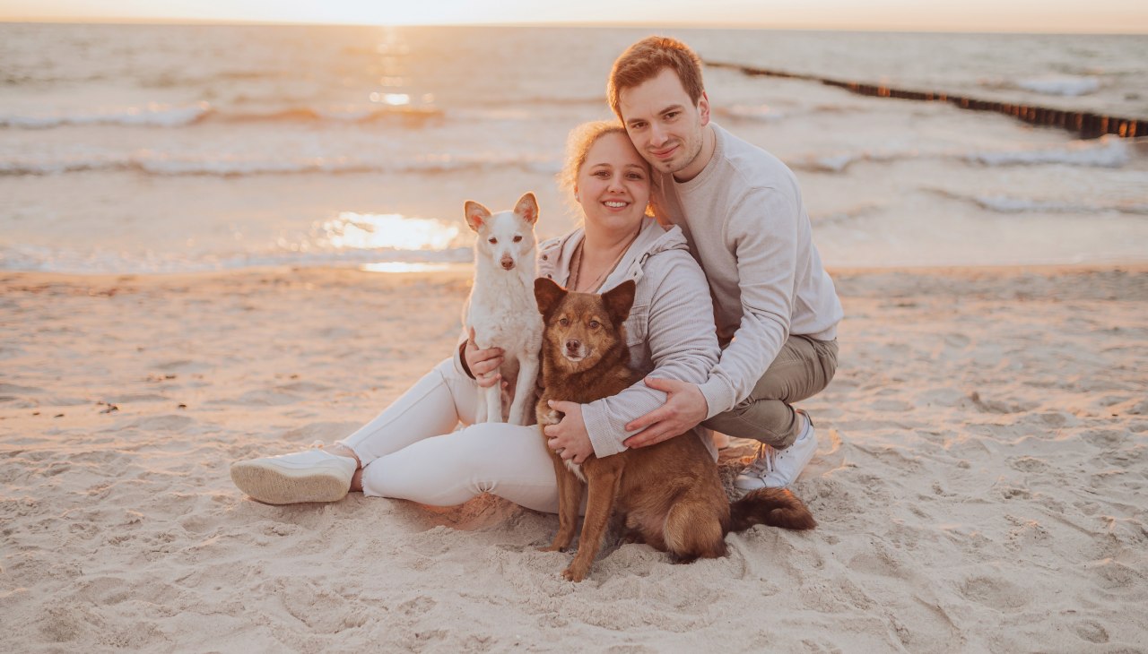 Couple photo shoot with dog at sunset on the Baltic Sea beach, © Deine Hundefotografin