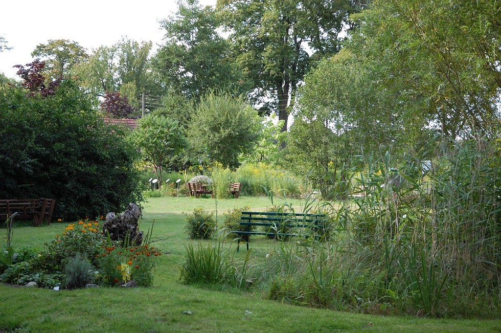 The show garden displays about 150 bee pasture plants. // © Gabriele Skorupski The show garden displays about 150 bee pasture plants. // © Gabriele Skorupski