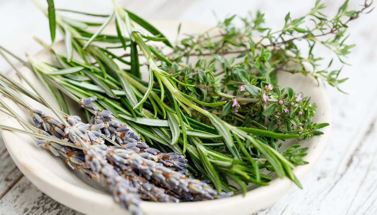 Kruidenwandeling met meneer Warnick, © herbs-2523119_1920.jpg Kruidenwandeling met meneer Warnick, © herbs-2523119_1920.jpg