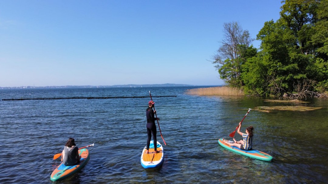 Stand up board beginnerscursus, &copy; Erik Steuding