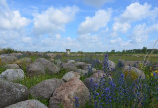 &copy; Kurverwaltung Feldberger Seenlandschaft
